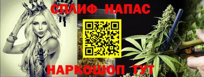 гидра Шахты