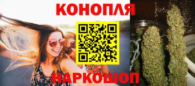 дживик Шелехов