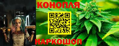 дживик Шелехов