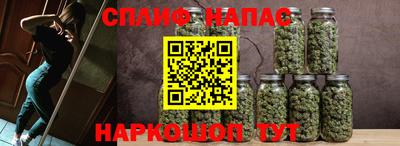 гидра Шахты