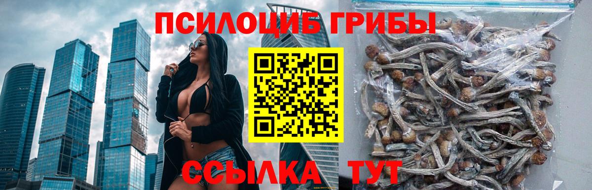 Псилоцибиновые грибы мухоморы  Вход с VPN  Россошь 